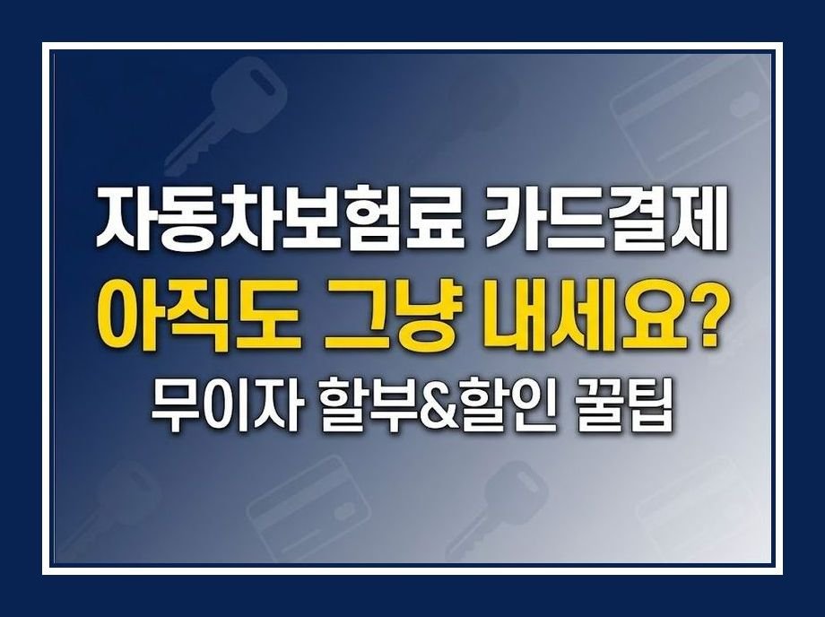 자동차보험 카드결제