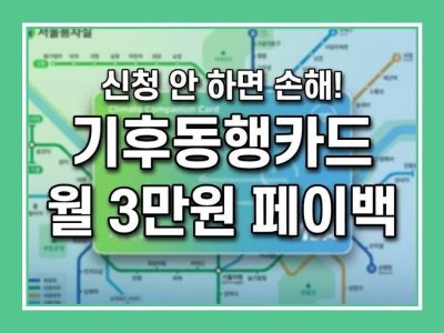 기후동행카드 페이백