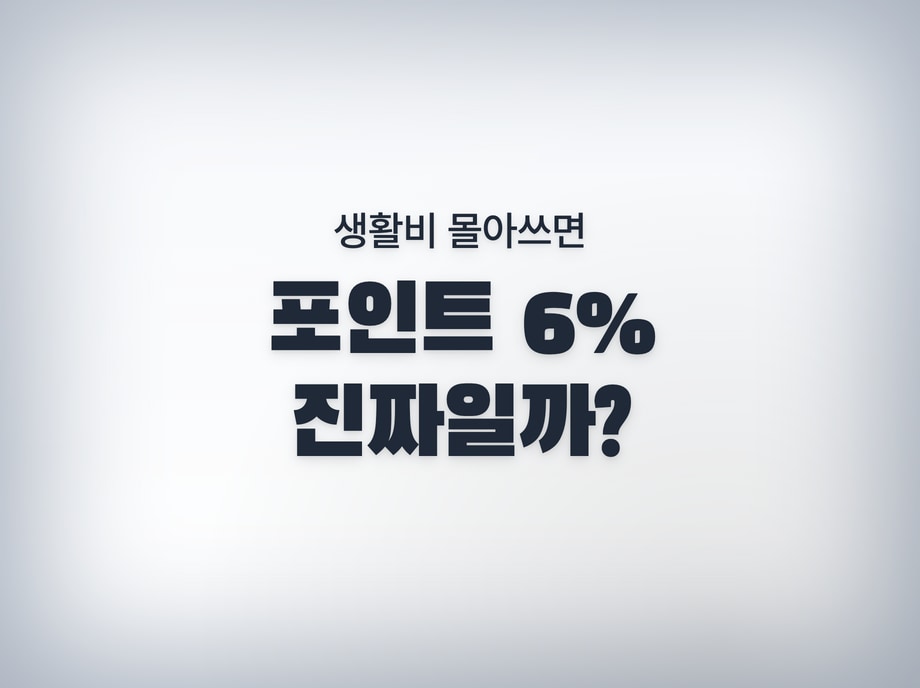 포인트적립